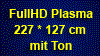Mietangebot 103 Zoll Plasmadisplay 227*127 cm inkl. Ton und Service
